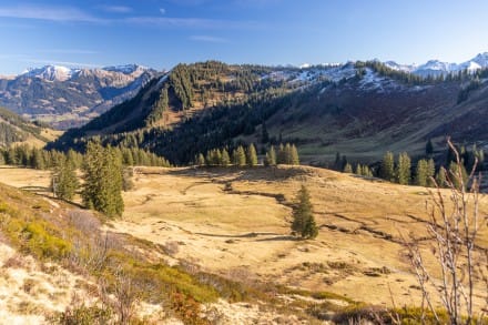 Oberallgäu: Hörnergruppe (Gunzesried)