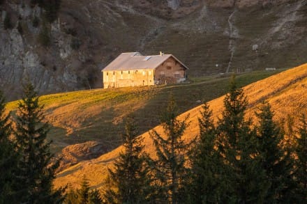 Oberallgäu: Obere Wilhelmine Alpe (Gunzesried)