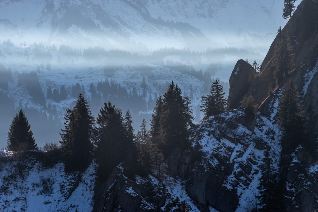 Grauer Stein, Tennenmooskopf und Siplinger Kopf (Balderschwang - Oberallgäu / 2020)