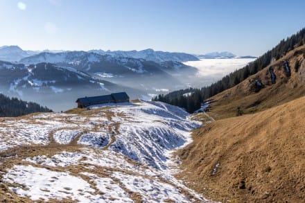 Oberallgäu: Obere Wilhelmine Alpe (Balderschwang)