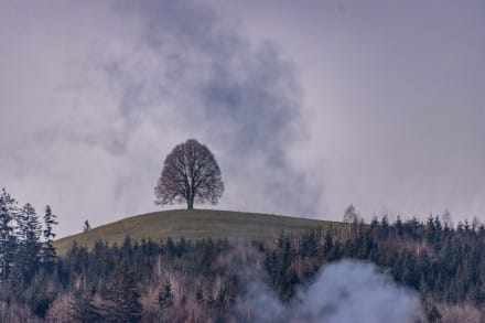 Rundweg Sonthofen: Wittelsbacher Höhe, Illerauen & Große Konjunktion