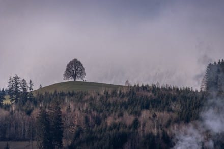 Oberallgäu: Wittelsbacher Höhe (Sonthofen)