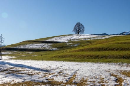 Oberallgäu:  (Sonthofen)