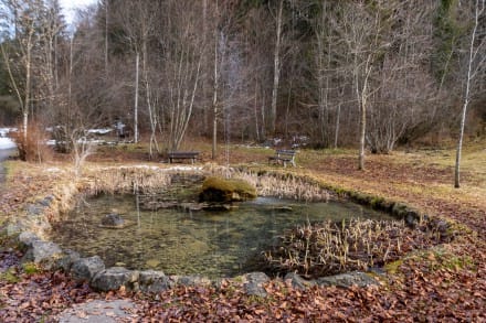 Oberallgäu: Bachtel (Sonthofen)