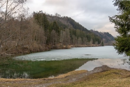 Oberallgäu: Auwaldsee (Sonthofen)