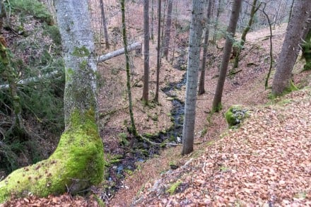 Oberallgäu: Bruck Tobel (Bad Hinterstein)