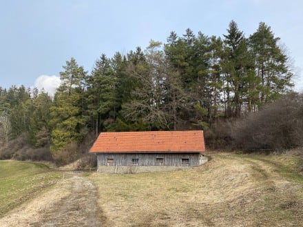 Oberallgäu: Mittelalterlichen Burgstall am Schwarzenbach (Dietmannsried)