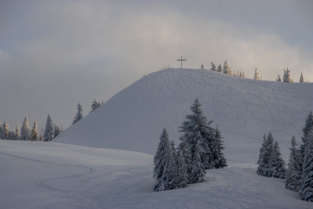 Höllritzer Alpe (Gunzesried - Oberallgäu / 2021)