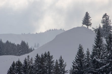 Oberallgäu: Blaichach Wandern (Gunzesried)