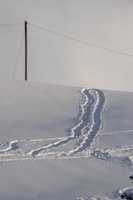 Oberallgu: Birkachmoor (Gunzesried)