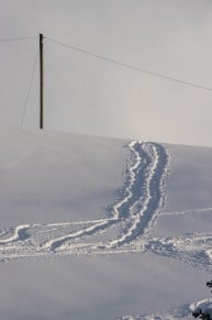 Oberallgäu: Birkachmoor (Gunzesried)