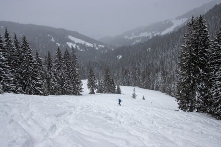 Oberallgäu: Printscher Hütte (Gunzesried)