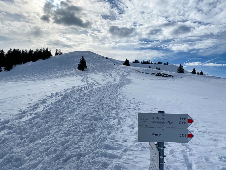 Wertacher Hörnle (Wertach - Oberallgäu / 2021)