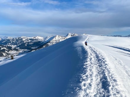 Oberallgäu: Wertacher Hörnle (Wertach)