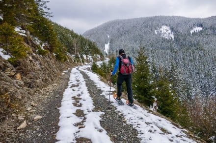 Oberallgäu: Nesselwanger Runde (Nesselwang)