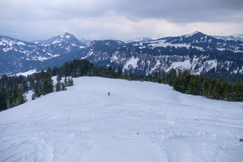 Hochschelpen und Gelbhansekopf (Grasgehren - Oberallgäu / 2021)