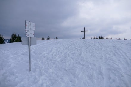 Oberallgäu: Hochschelpen (Grasgehren)