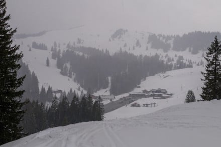 Oberallgäu: Wannenkopf (Obermaiselstein)