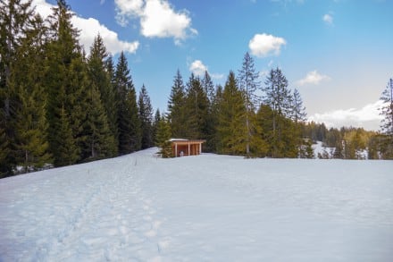 Oberallgäu: Birkachmoor (Gunzesried)