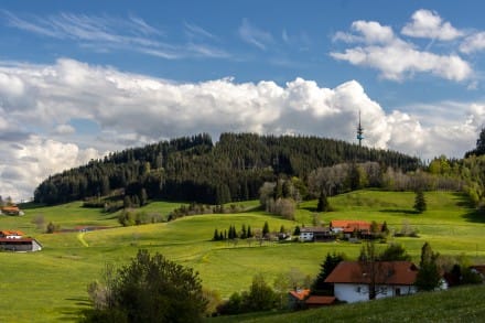 Oberallgäu: Blender (Wiggensbach)