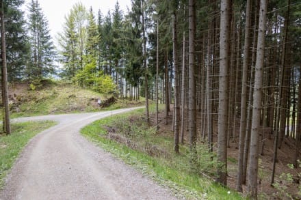 Oberallgäu: Burgstall Schachenberg (Sonthofen)