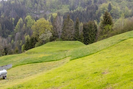 Oberallgäu: Burg Winkelberg (Sonthofen)