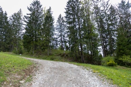 Oberallgäu: Burgstall Berghofen (Sonthofen)