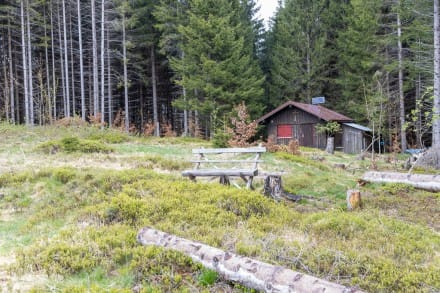 Oberallgu: Moosrauft (Sonthofen)