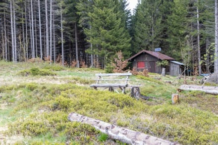 Oberallgäu: Moosrauft (Sonthofen)