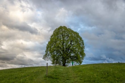 Oberallgäu: Wolkenstimmung (Sonthofen)