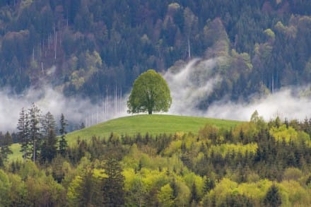 Oberallgäu: Regenbogen (Sonthofen)