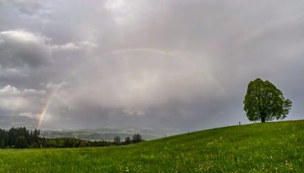 Oberallgäu: Wittelsbacherhöhe (Sonthofen)