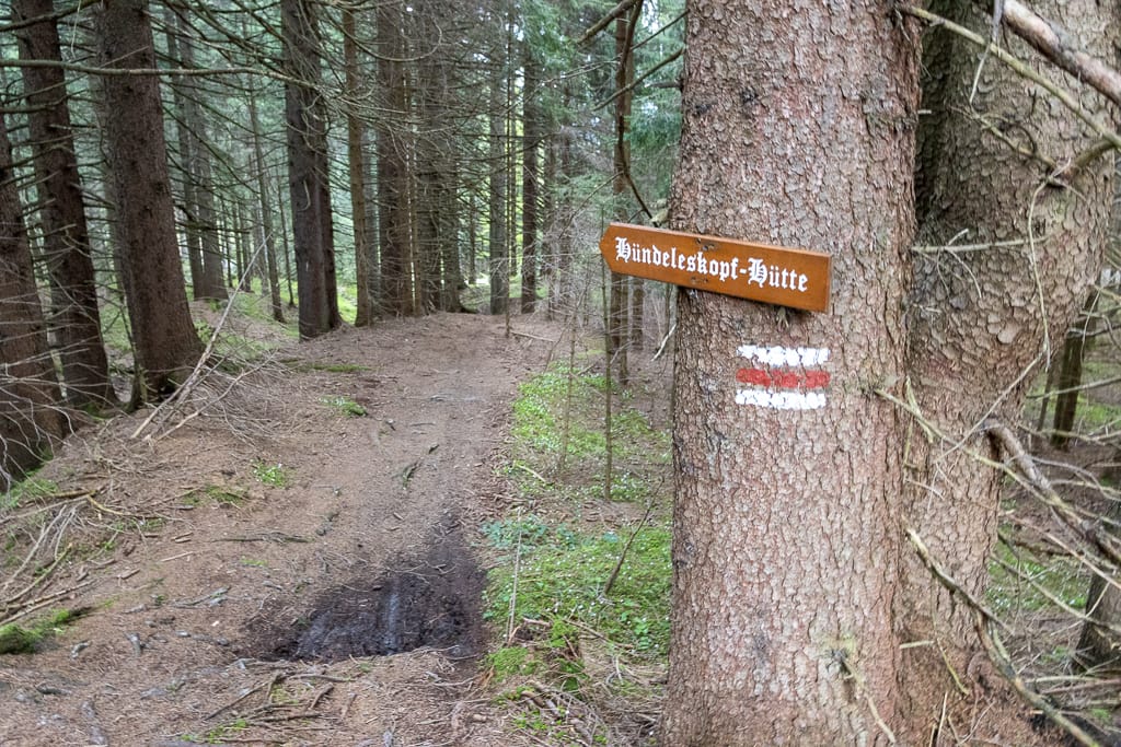 Alpspitz, Edelsberg, Hundeleskopf (Nesselwang - Oberallgäu / 2021)