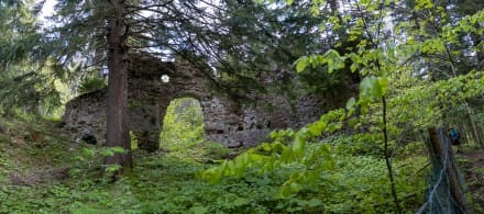 Oberallgäu: Burgruine Nesselburg (Nesselwang)