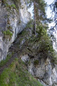 Oberallgäu: Vom Milchhäusle auf die Kienberg Schulter (Pfronten)