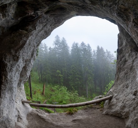 Oberallgäu: Wildfräuleinstein (Hinterstein)