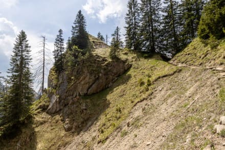 Oberallgäu: Naturpfad Ahornreitweg (Füssen)