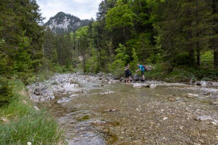 Oberallgäu: Pöllat (Gebirgsbach) (Füssen)