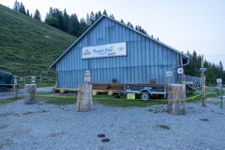 Oberallgäu: Buchel Alpe (Unterjoch)