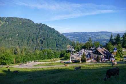 Oberallgäu: Berghütte (Mittelstation) (Immenstadt)