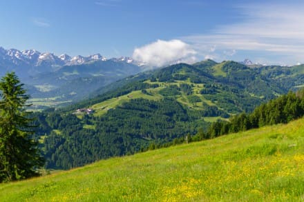 Ofterschwanger Horn, Weltcup Abfahrt

