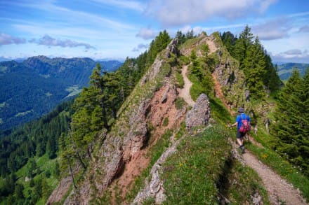 Oberallgäu: Vom Mittag bis zum Seelenkopf (Nagelfluhkette) (Immenstadt)