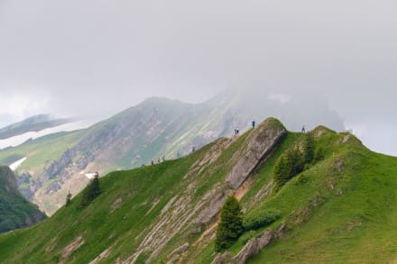 Oberallgäu: Nagelfluhkette (Immenstadt)