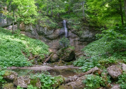 Oberallgäu: Wasserfall am Seelen-Alp-Weg (Immenstadt)