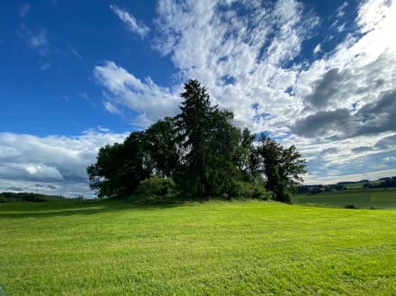 Oberallgäu: Burgus Hörensberg (Dietmannsried)