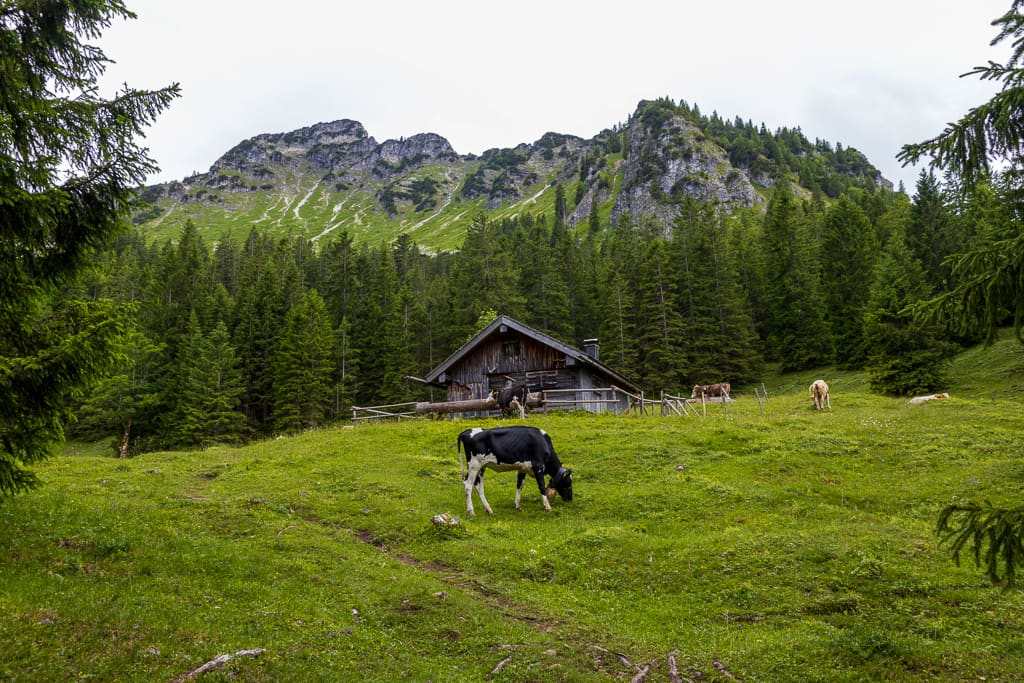 Rund um den Einstein (Pfronten (Enge) - Oberallgäu / 2021) Rund um den Einstein (Pfronten (Enge) - Oberallgäu / 2021)