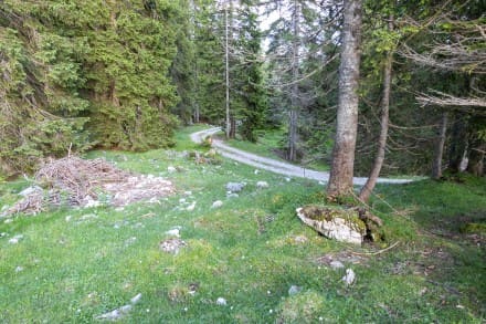 Oberallgäu: Rundweg (Pfronten (Enge))