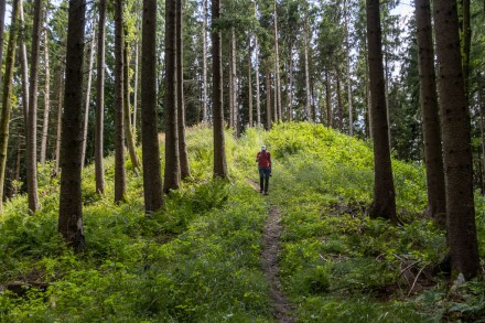 Unterallgäu: Keltisches Höhenheiligtum (Kronburg)