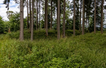 Unterallgäu: Hohenrain (Kronburg)