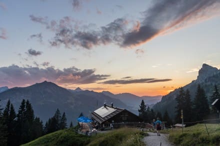 Tannheimer Tal: Schneetaler Alm (Nesselwängle)